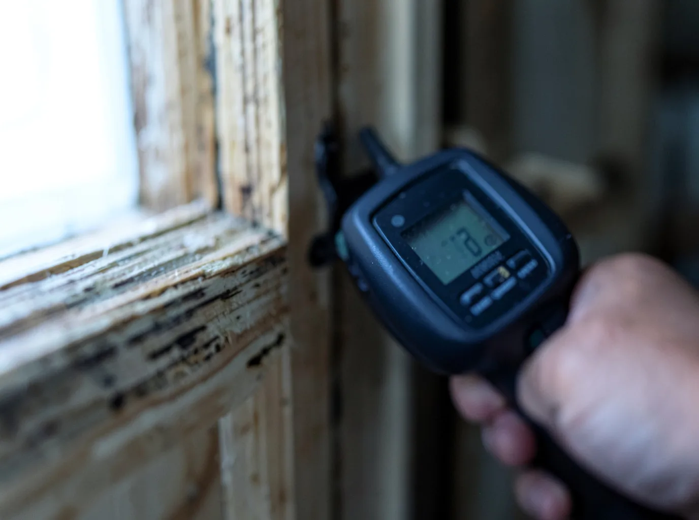 Commercial Water Damage Restoration in Counce, TN
